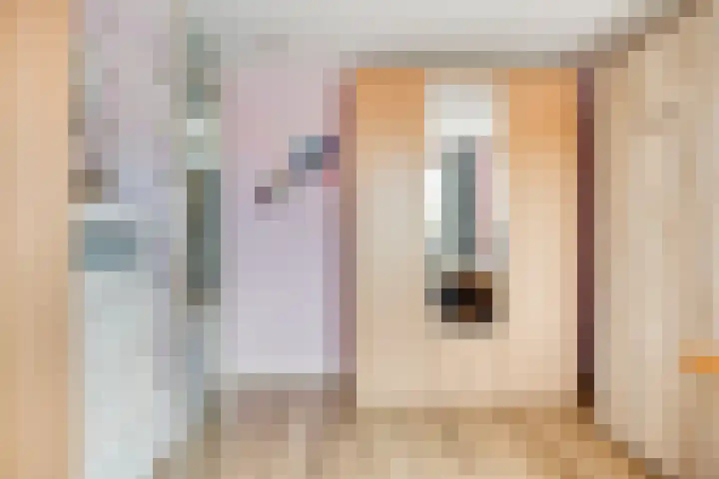 Schijfmos 39 Houten thumbnail 19