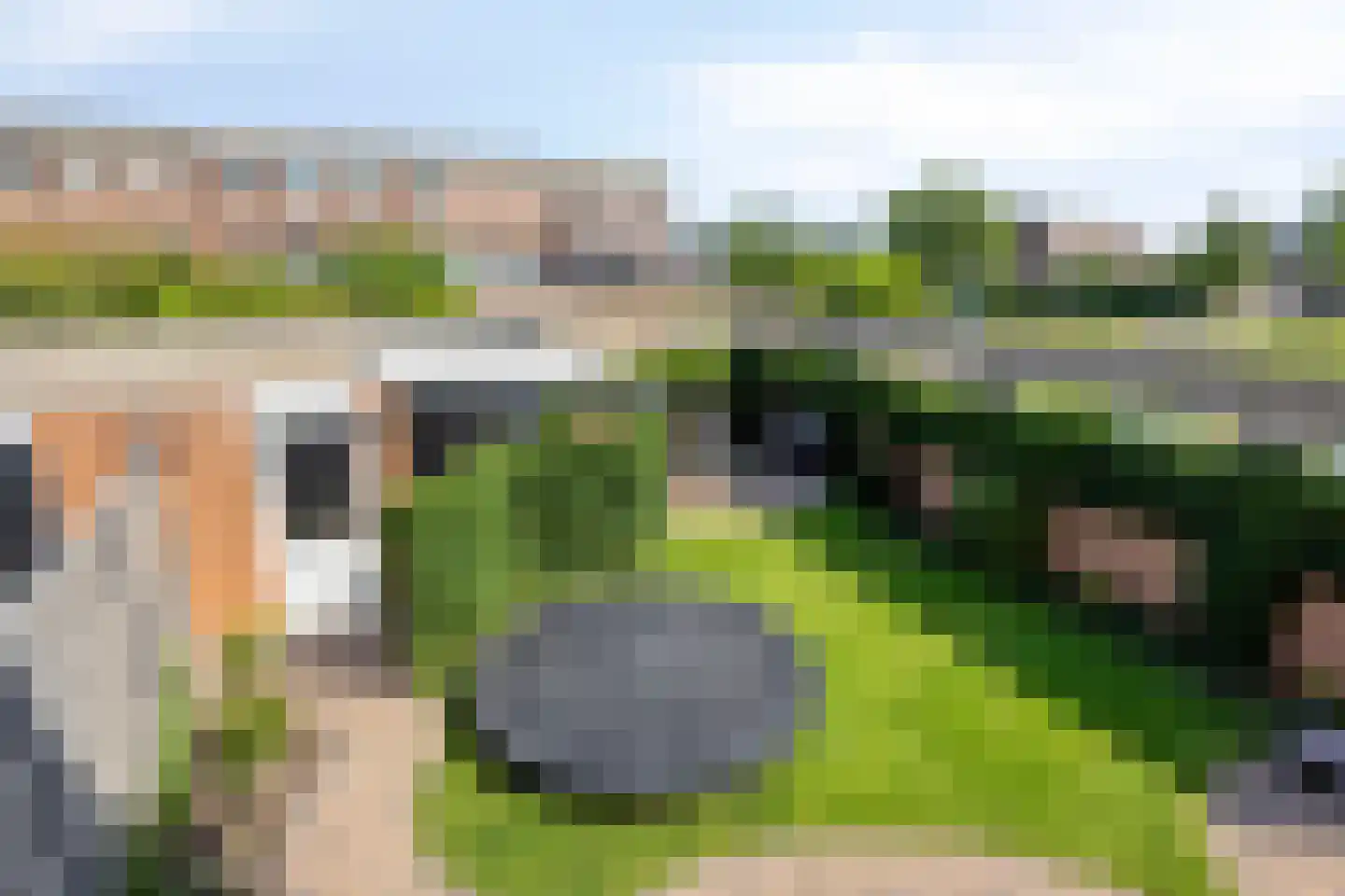 Schijfmos 39 Houten thumbnail 27