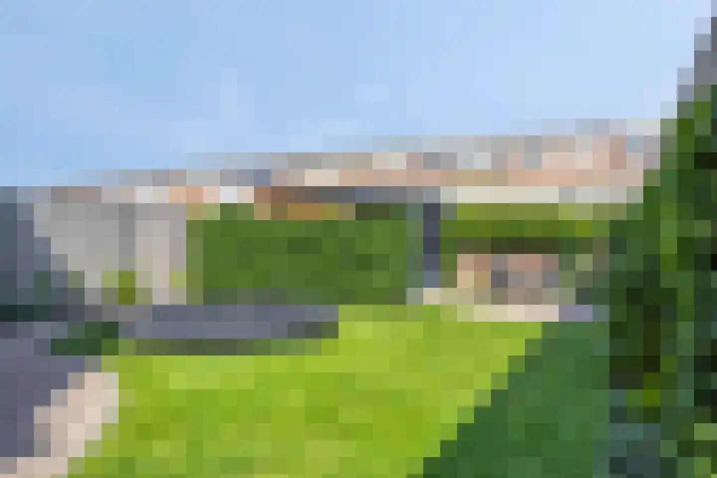 Schijfmos 39 Houten thumbnail 29
