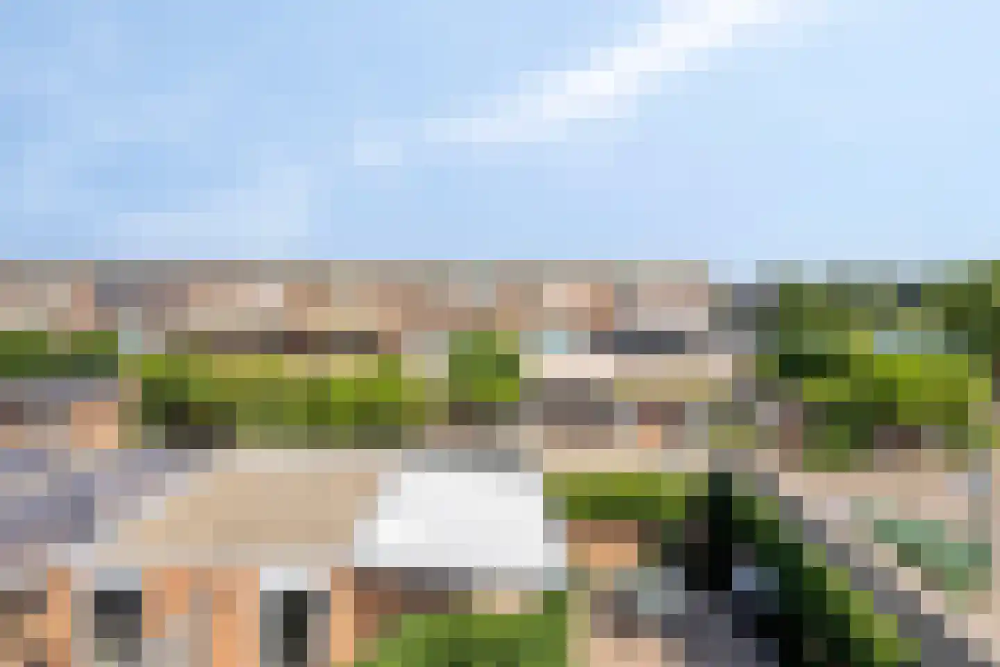 Schijfmos 39 Houten thumbnail 31