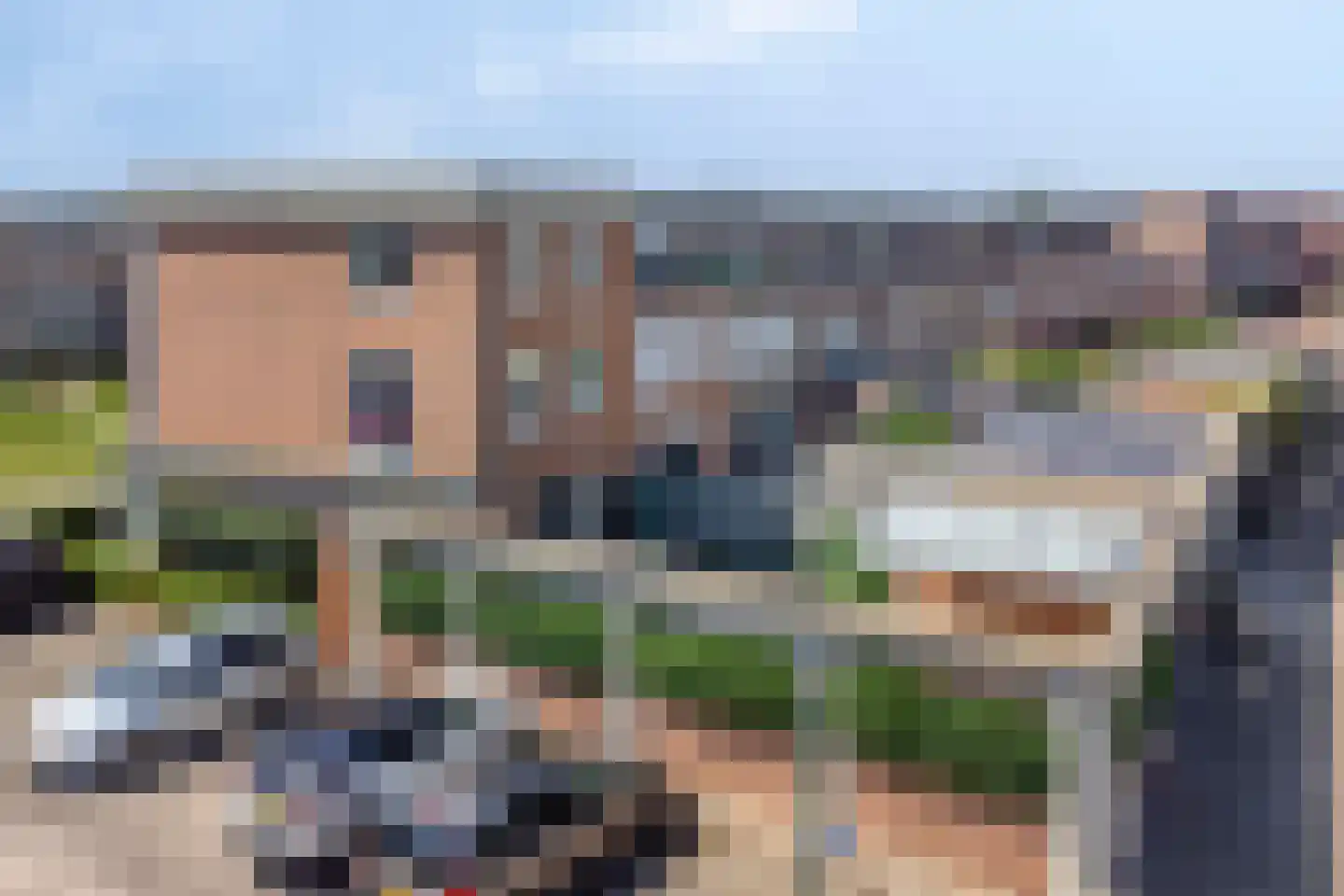 Schijfmos 39 Houten thumbnail 32