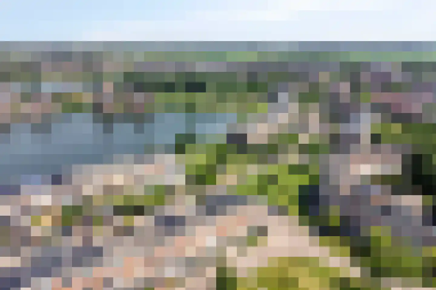 Schijfmos 39 Houten thumbnail 33