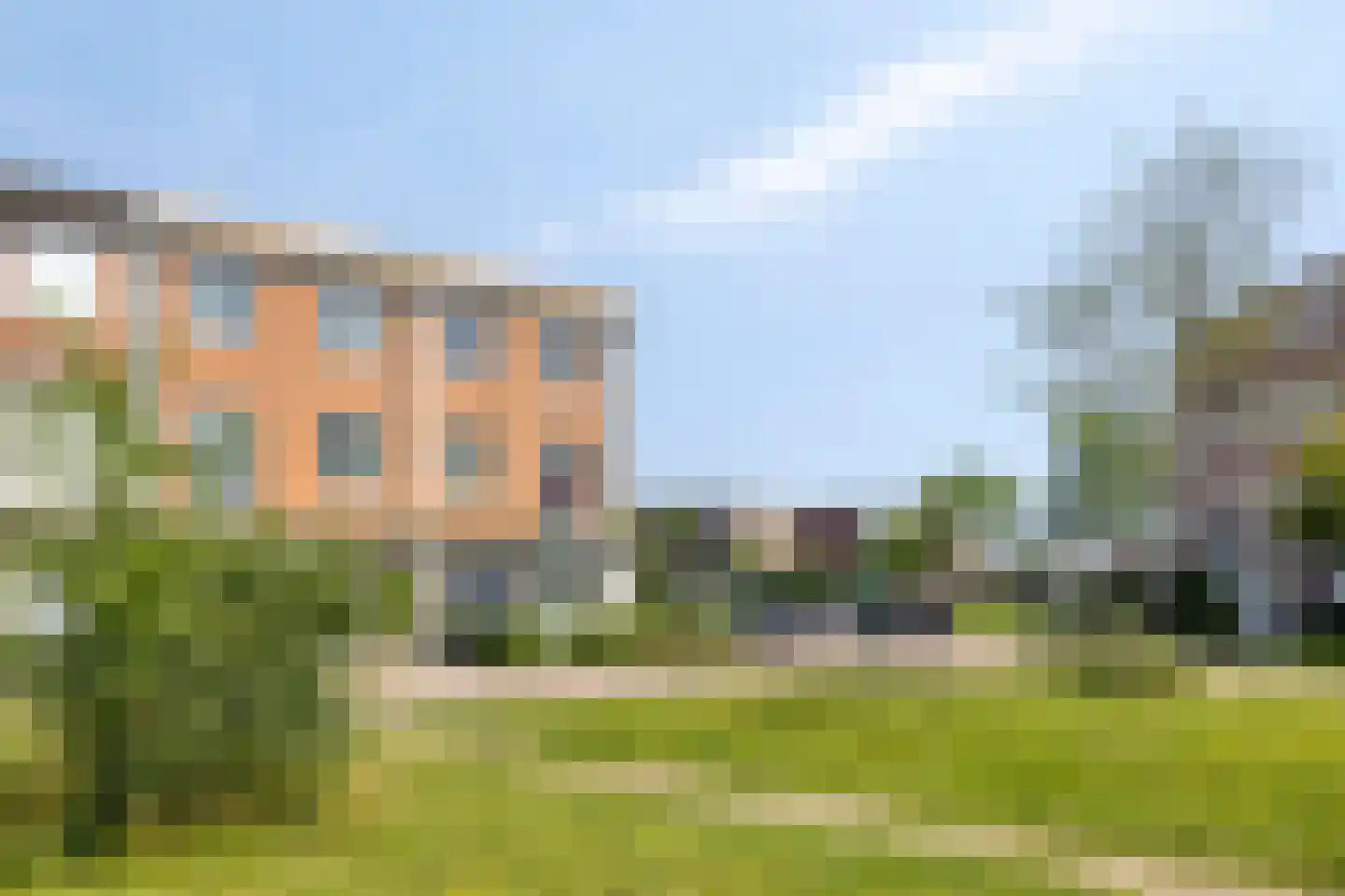 Schijfmos 39 Houten thumbnail 34
