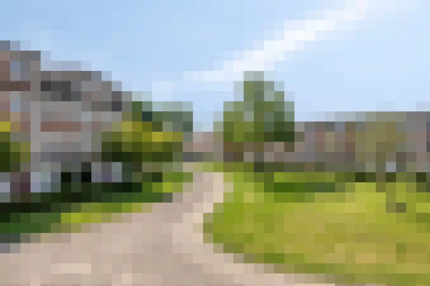 Schijfmos 39 Houten thumbnail 35