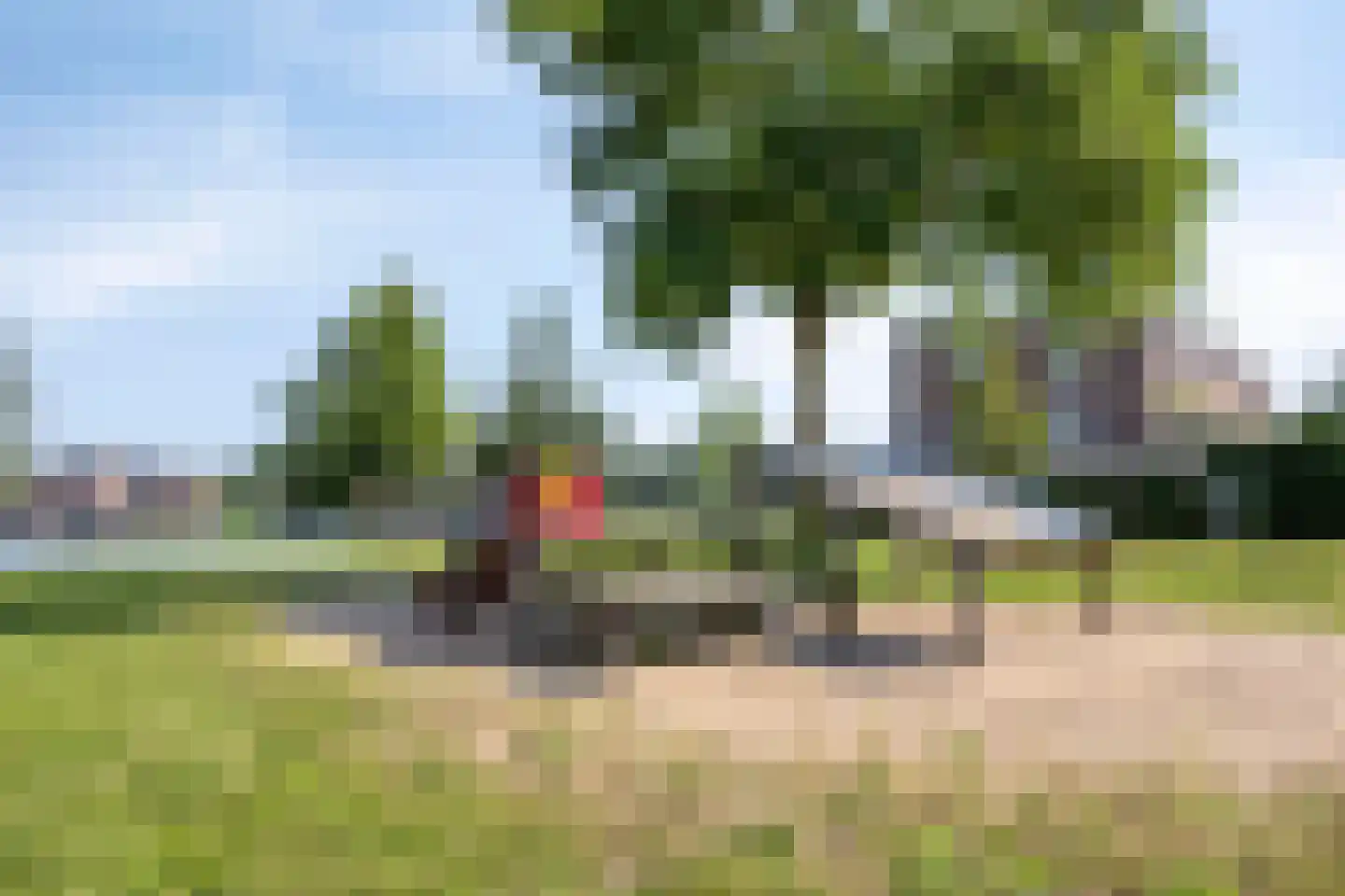 Schijfmos 39 Houten thumbnail 37