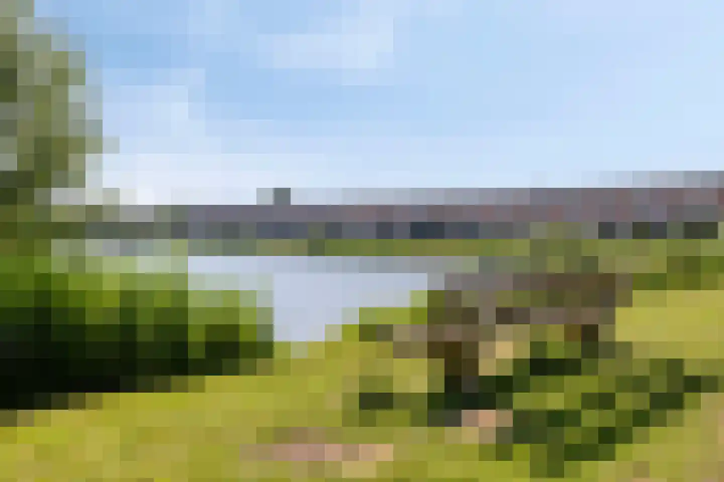 Schijfmos 39 Houten thumbnail 39
