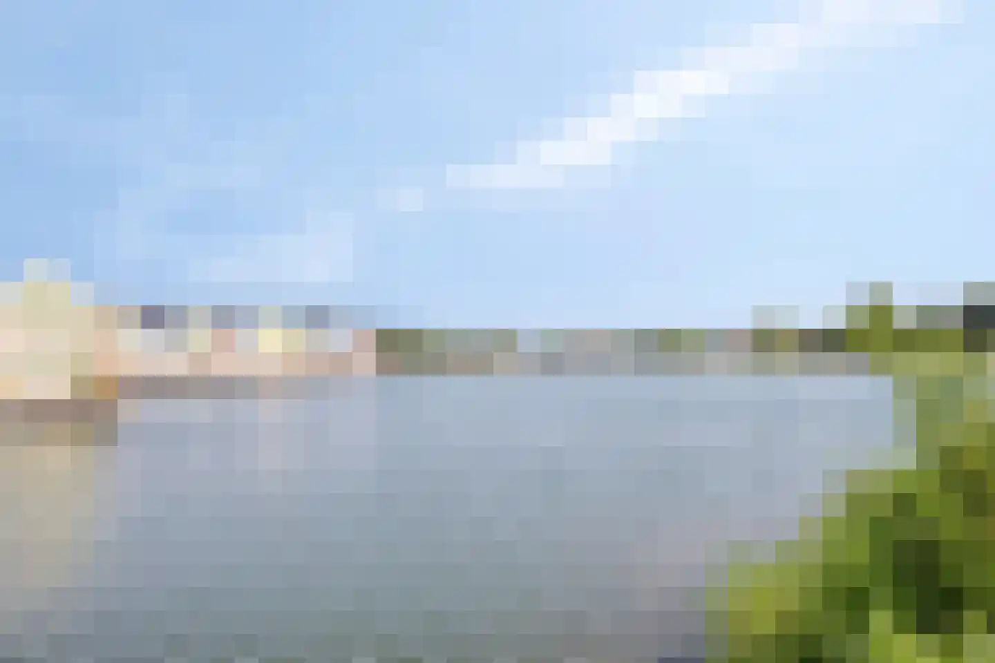 Schijfmos 39 Houten thumbnail 40