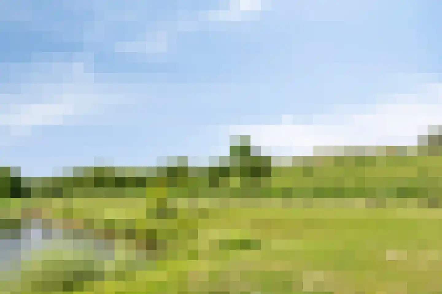 Schijfmos 39 Houten thumbnail 41