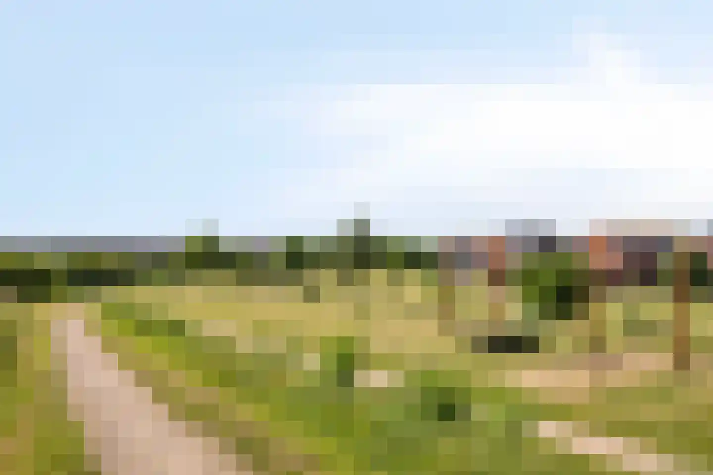 Schijfmos 39 Houten thumbnail 42