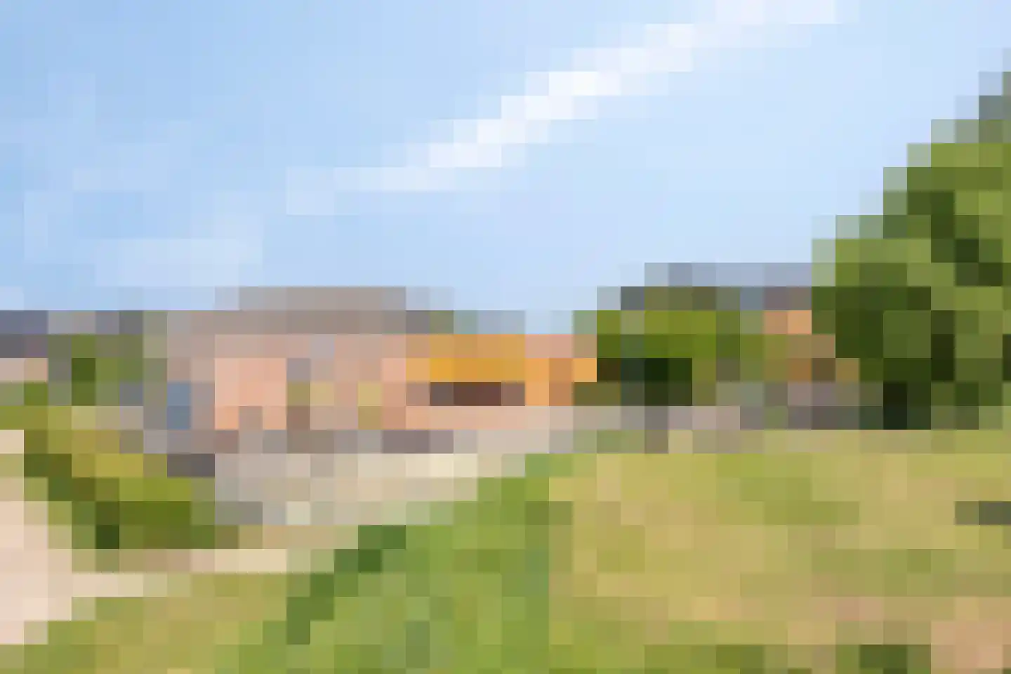 Schijfmos 39 Houten thumbnail 43