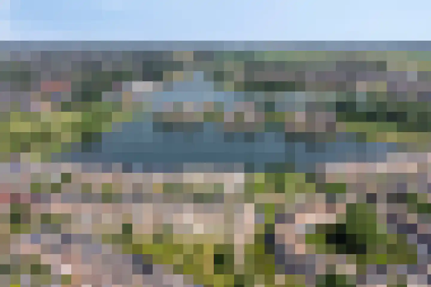 Schijfmos 39 Houten thumbnail 44