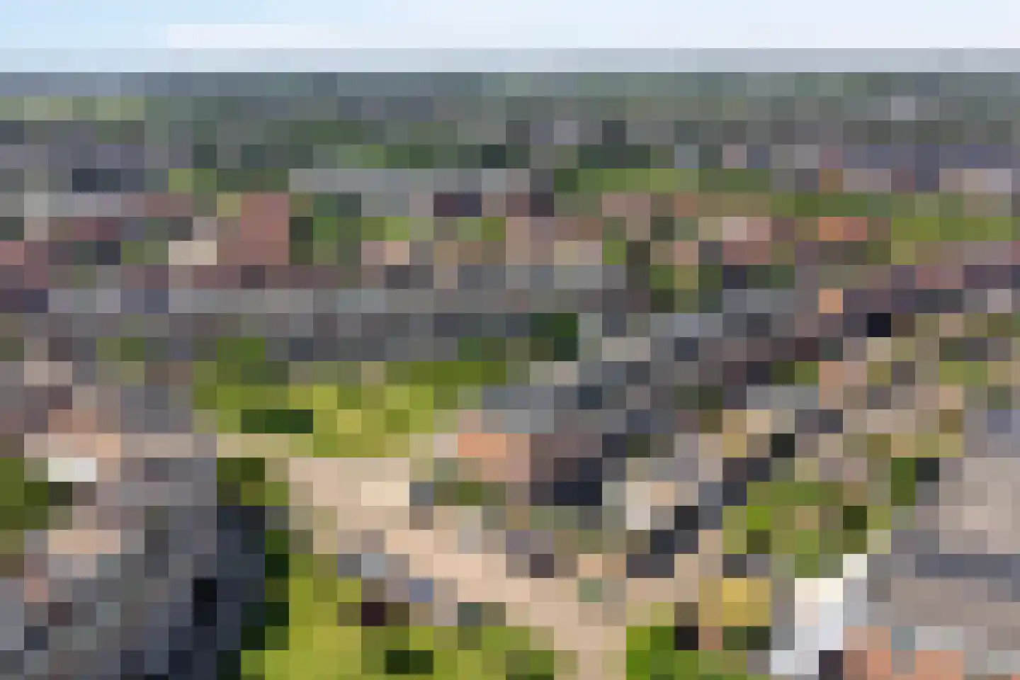 Schijfmos 39 Houten thumbnail 45