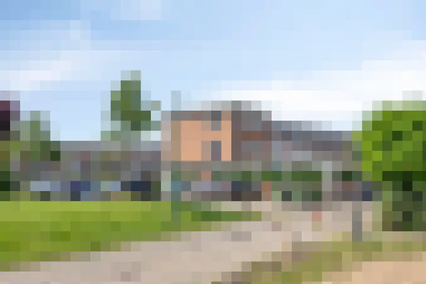 Schijfmos 39 Houten thumbnail 50