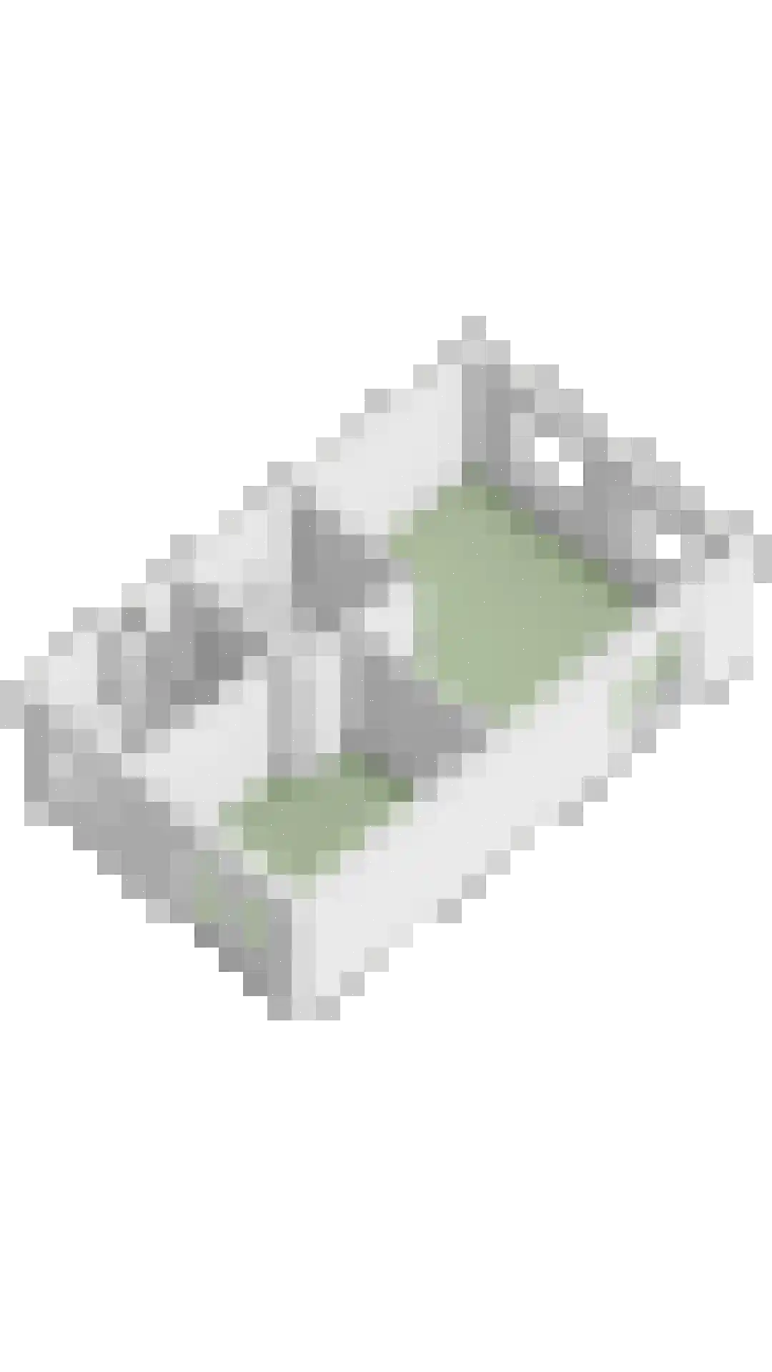 Schijfmos 39 Houten thumbnail 55