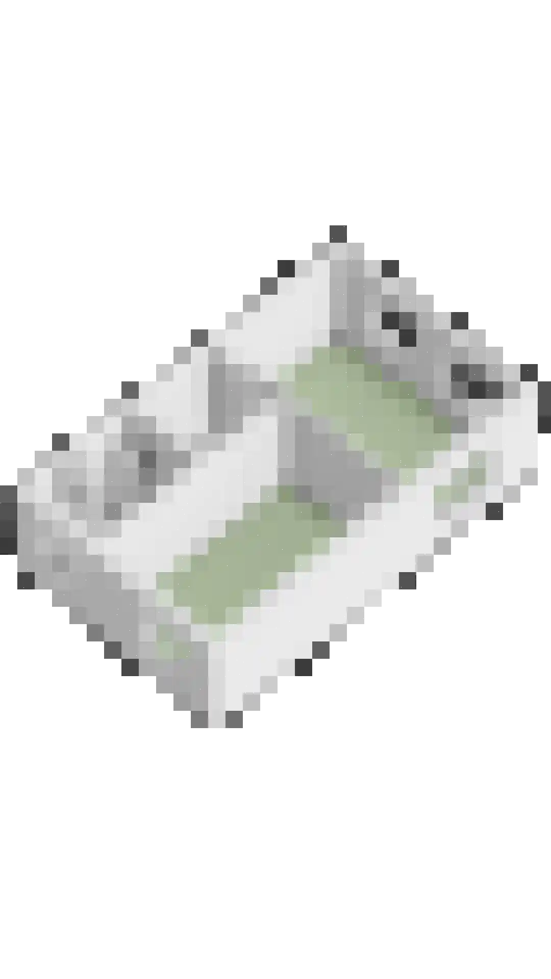 Schijfmos 39 Houten thumbnail 57