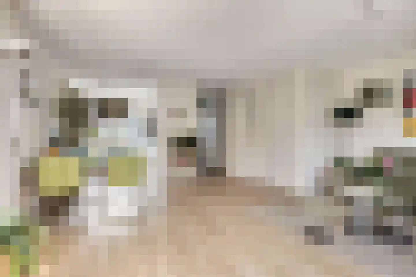 Schijfmos 39 Houten thumbnail 6