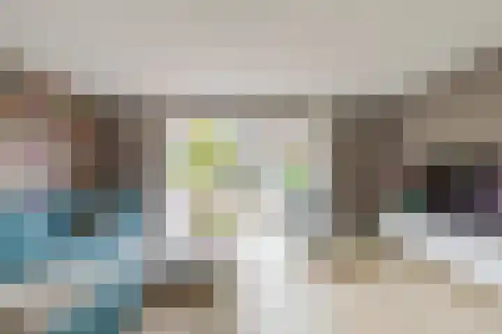 Schijfmos 48 Houten thumbnail 12