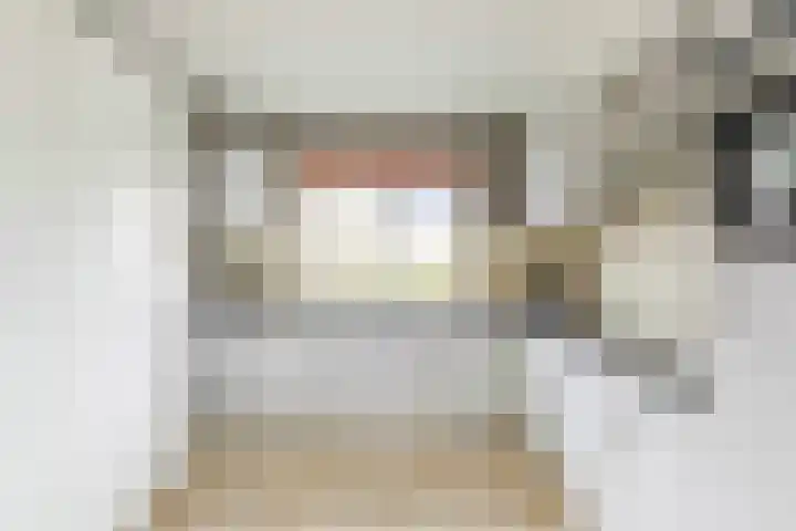 Schijfmos 48 Houten thumbnail 13