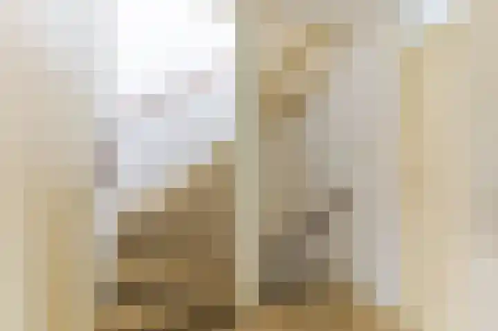 Schijfmos 48 Houten thumbnail 15