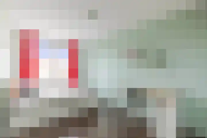 Schijfmos 48 Houten thumbnail 17