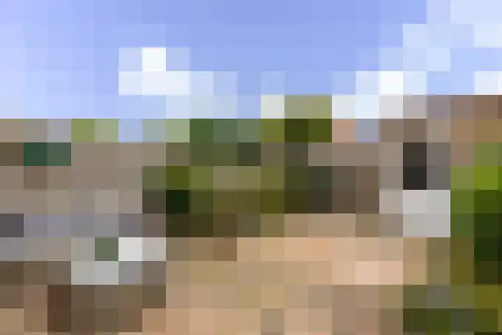 Schijfmos 48 Houten thumbnail 23