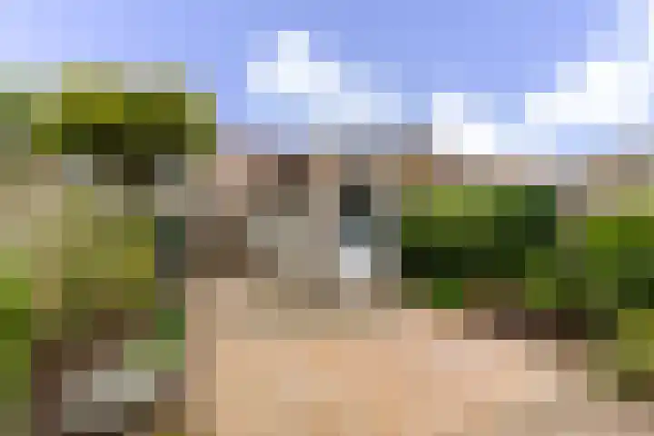 Schijfmos 48 Houten thumbnail 24