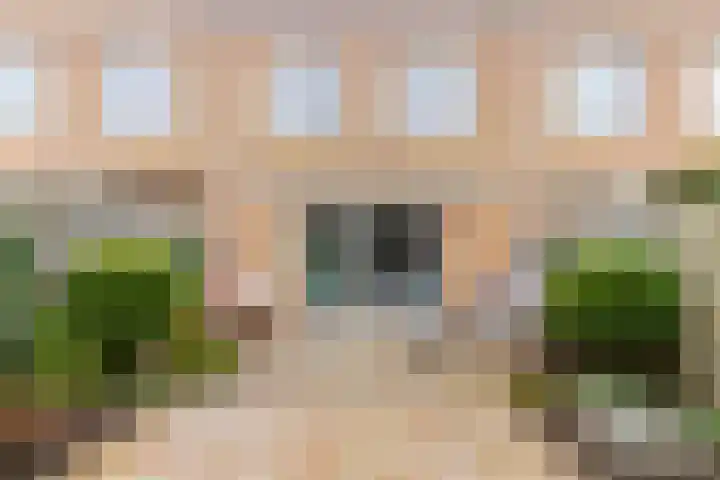 Schijfmos 48 Houten thumbnail 25