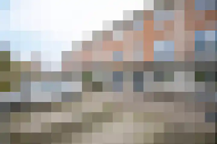 Schijfmos 48 Houten thumbnail 26