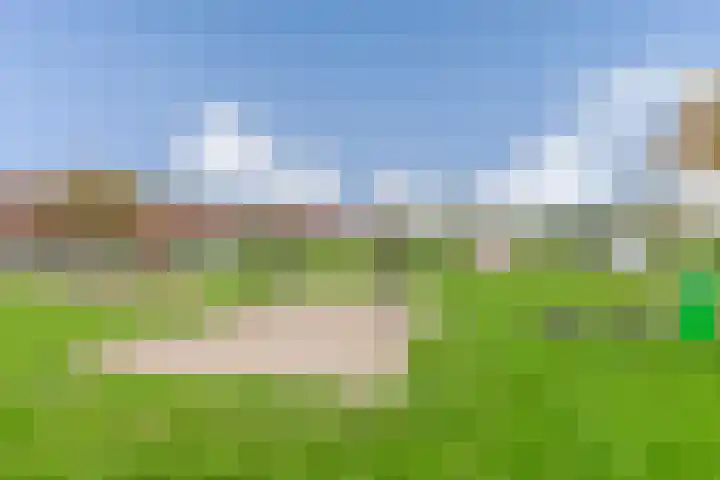 Schijfmos 48 Houten thumbnail 27