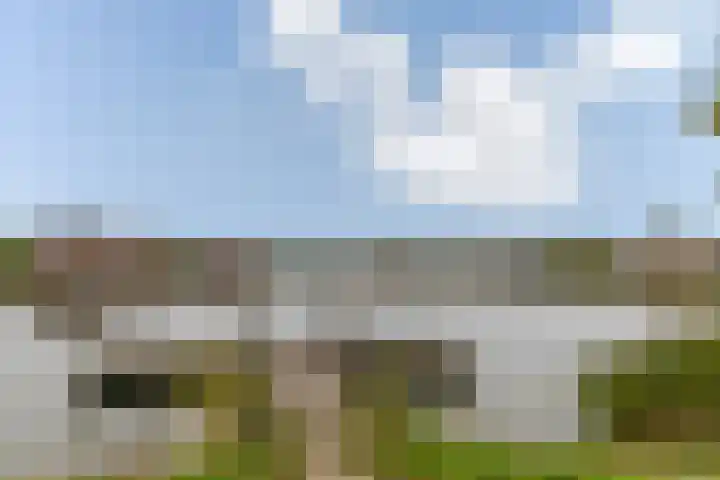 Schijfmos 48 Houten thumbnail 28