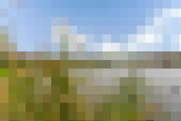 Schijfmos 48 Houten thumbnail 29