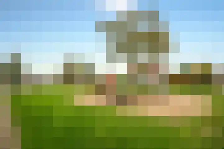 Schijfmos 48 Houten thumbnail 30