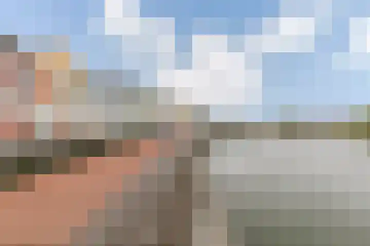 Schijfmos 48 Houten thumbnail 31