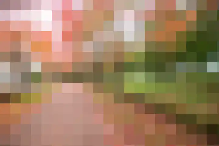Schijfmos 48 Houten thumbnail 32