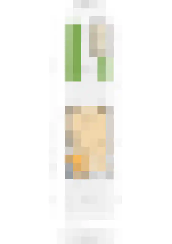 Schijfmos 48 Houten thumbnail 37