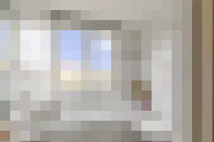 Schijfmos 48 Houten thumbnail 4