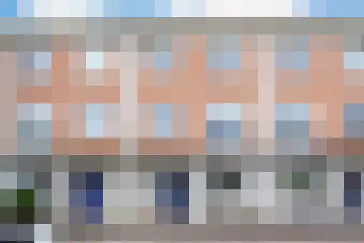 Schijfmos 48 Houten thumbnail 6