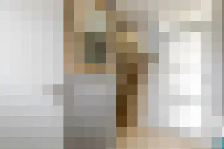Schijfmos 48 Houten thumbnail 7