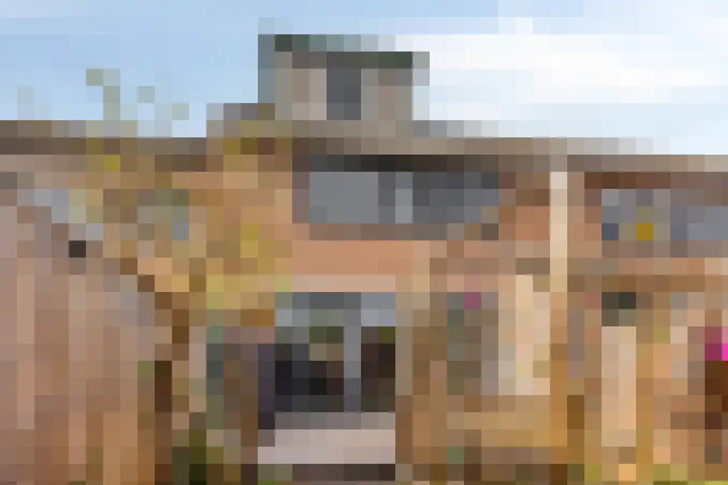 Schijfmos 62 Nieuwerkerk aan den IJssel