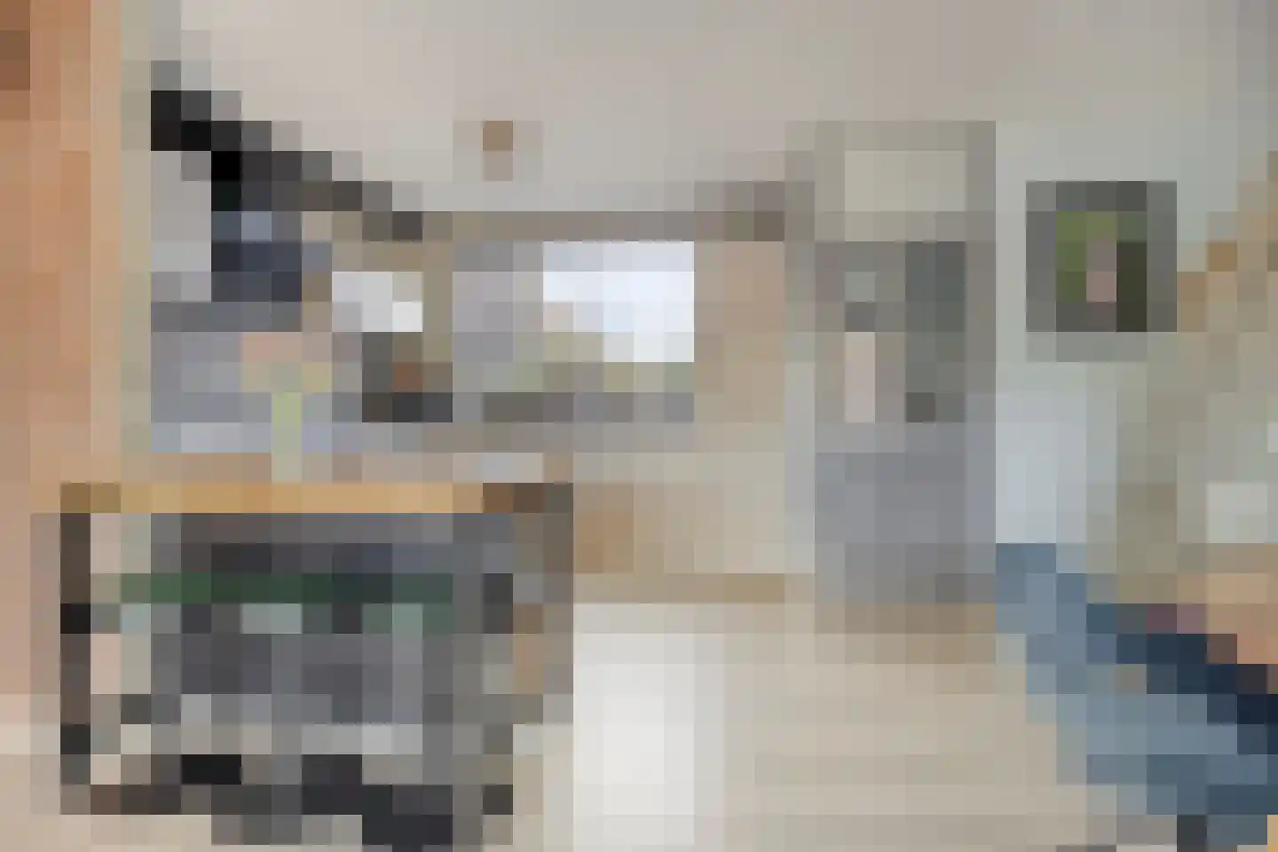 Schijfmos 62 Nieuwerkerk aan den IJssel thumbnail 10