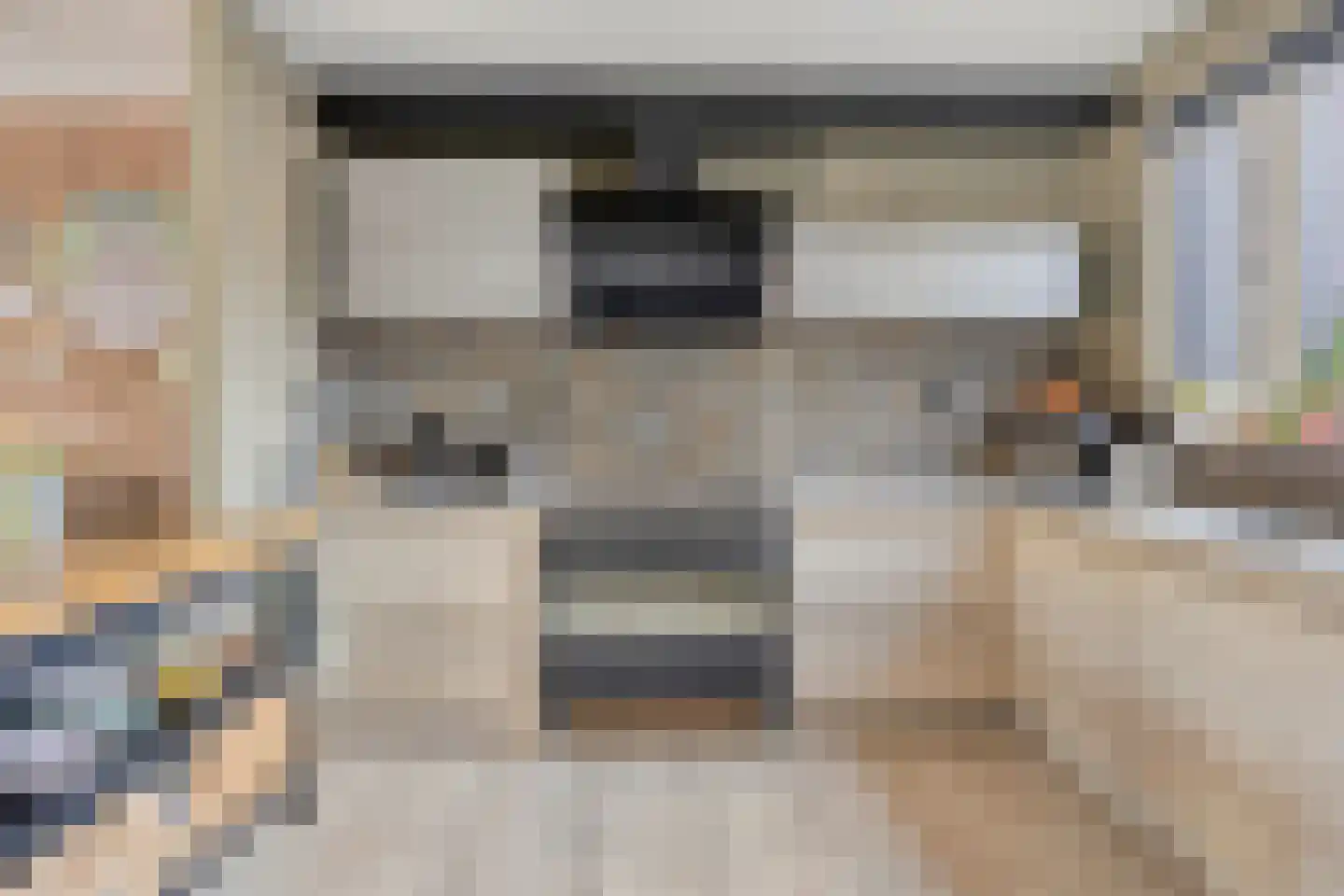 Schijfmos 62 Nieuwerkerk aan den IJssel thumbnail 11