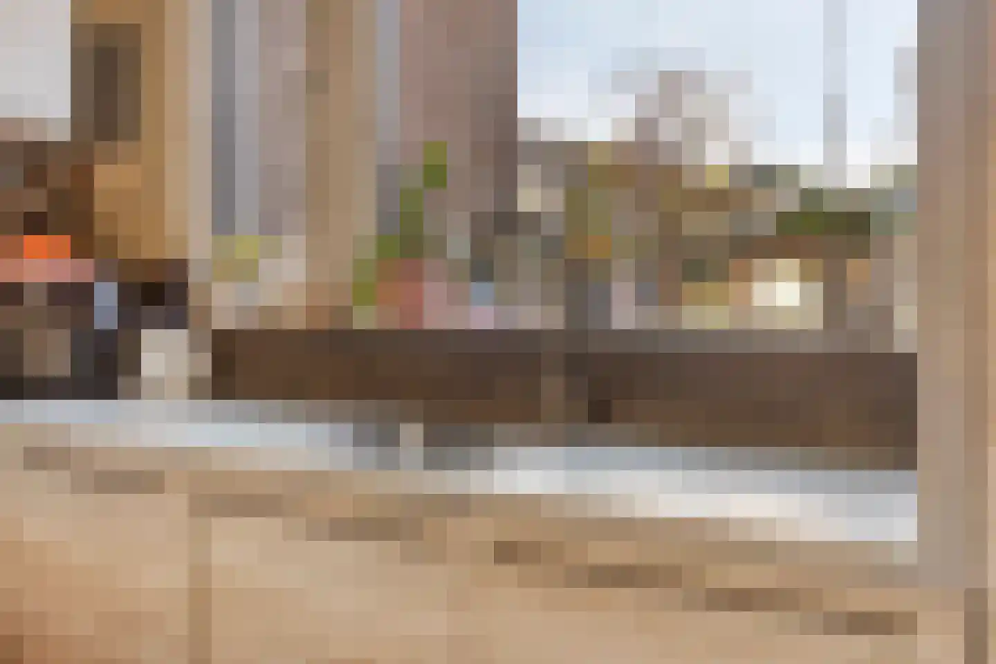 Schijfmos 62 Nieuwerkerk aan den IJssel thumbnail 13