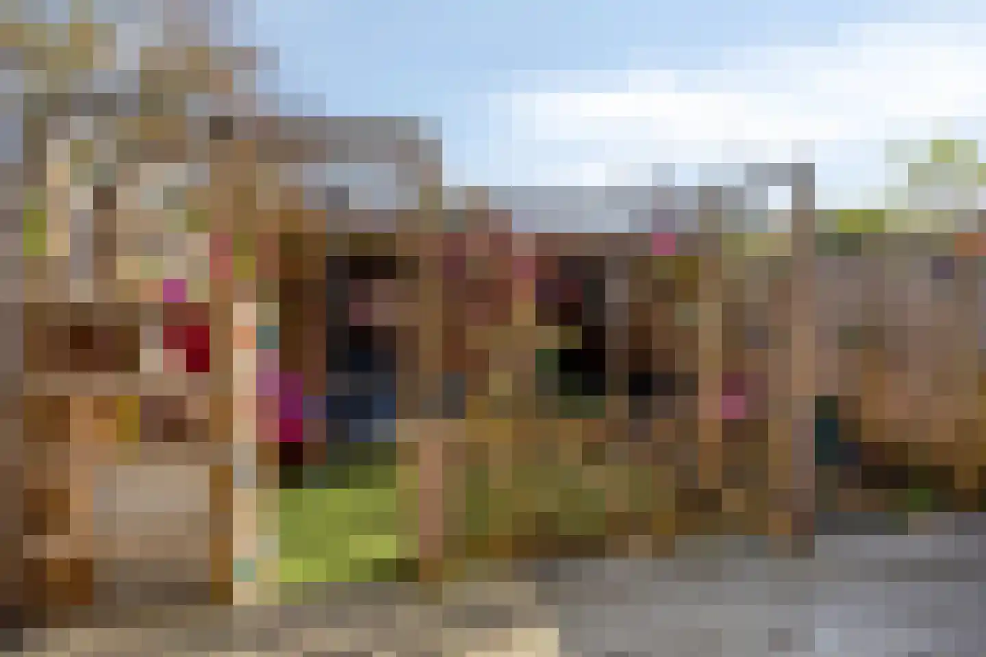 Schijfmos 62 Nieuwerkerk aan den IJssel thumbnail 30