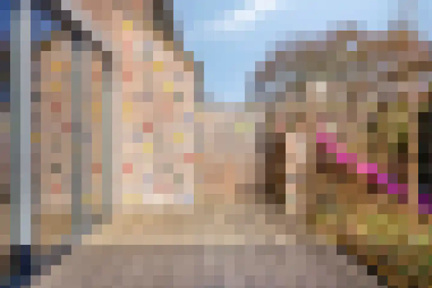 Schijfmos 62 Nieuwerkerk aan den IJssel thumbnail 31