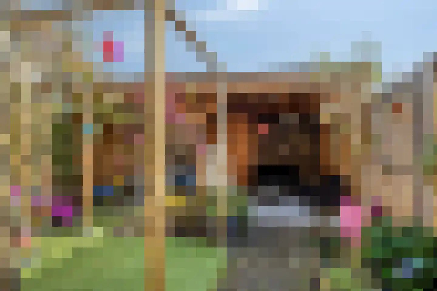 Schijfmos 62 Nieuwerkerk aan den IJssel thumbnail 32