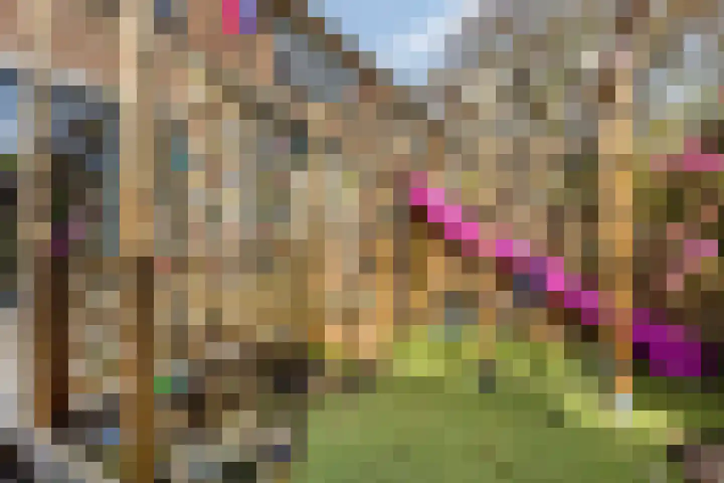 Schijfmos 62 Nieuwerkerk aan den IJssel thumbnail 33