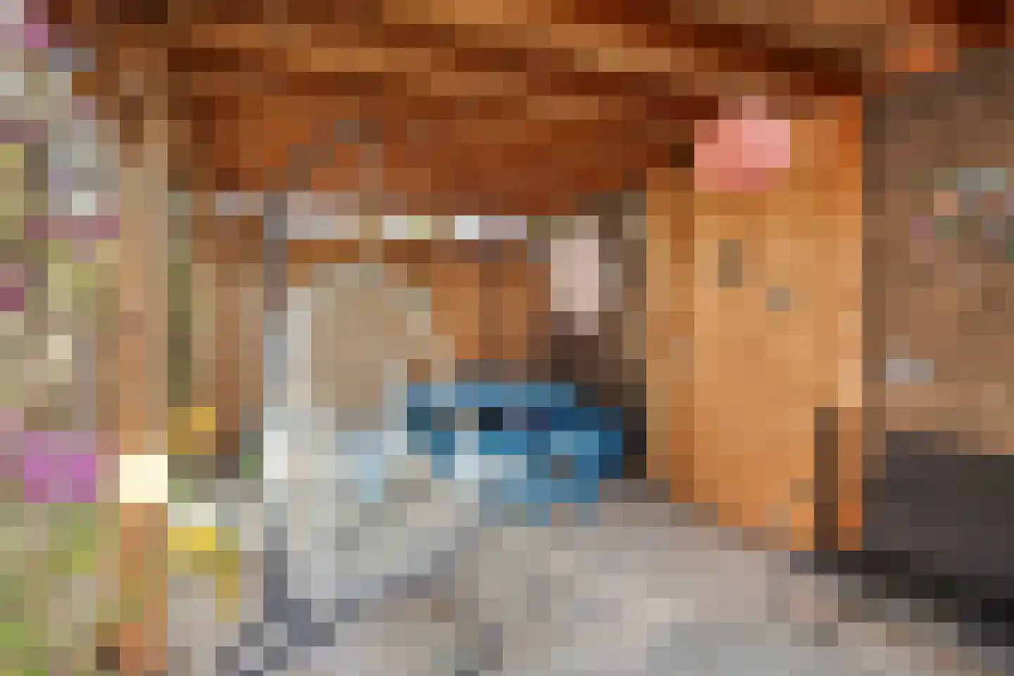 Schijfmos 62 Nieuwerkerk aan den IJssel thumbnail 34