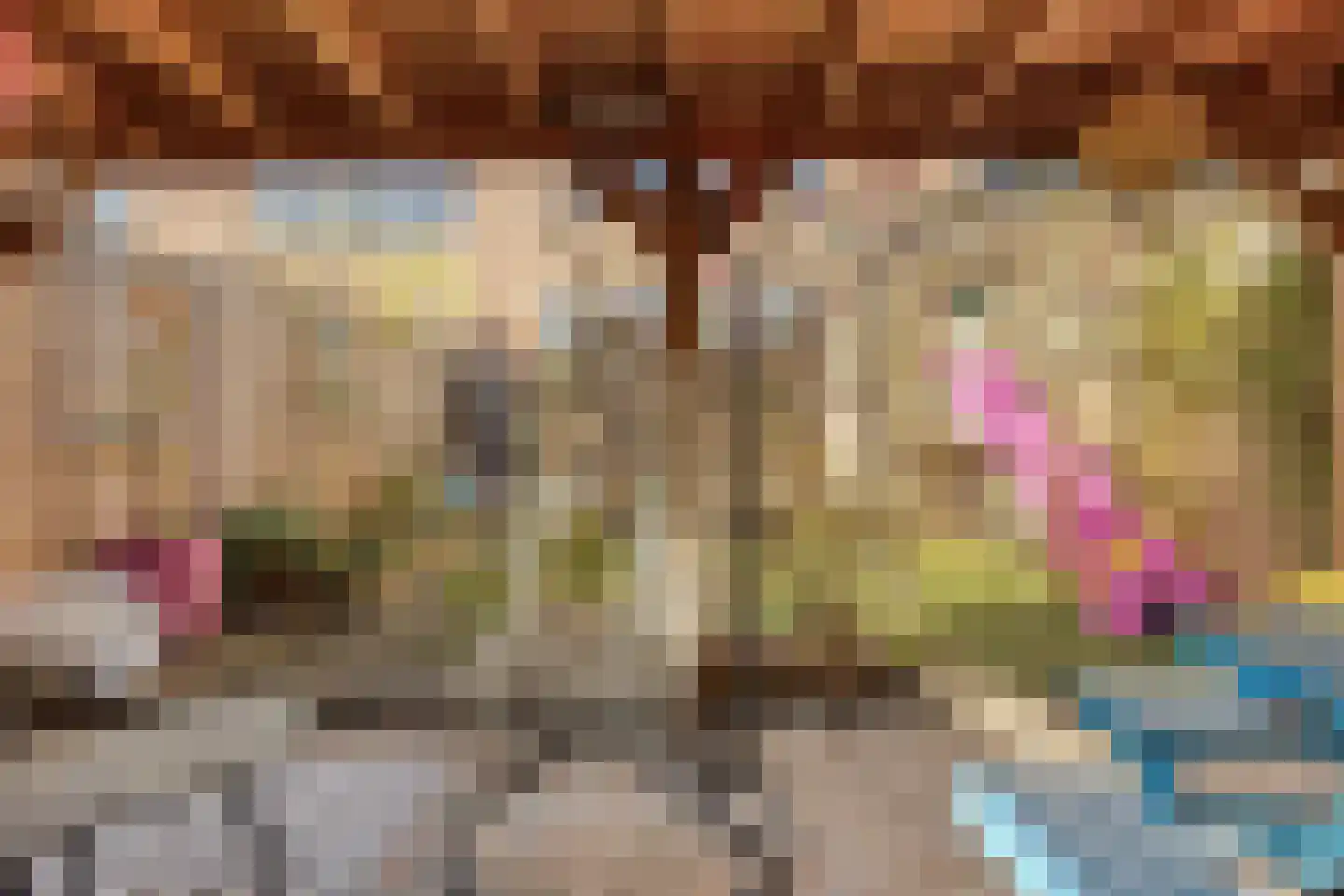 Schijfmos 62 Nieuwerkerk aan den IJssel thumbnail 35