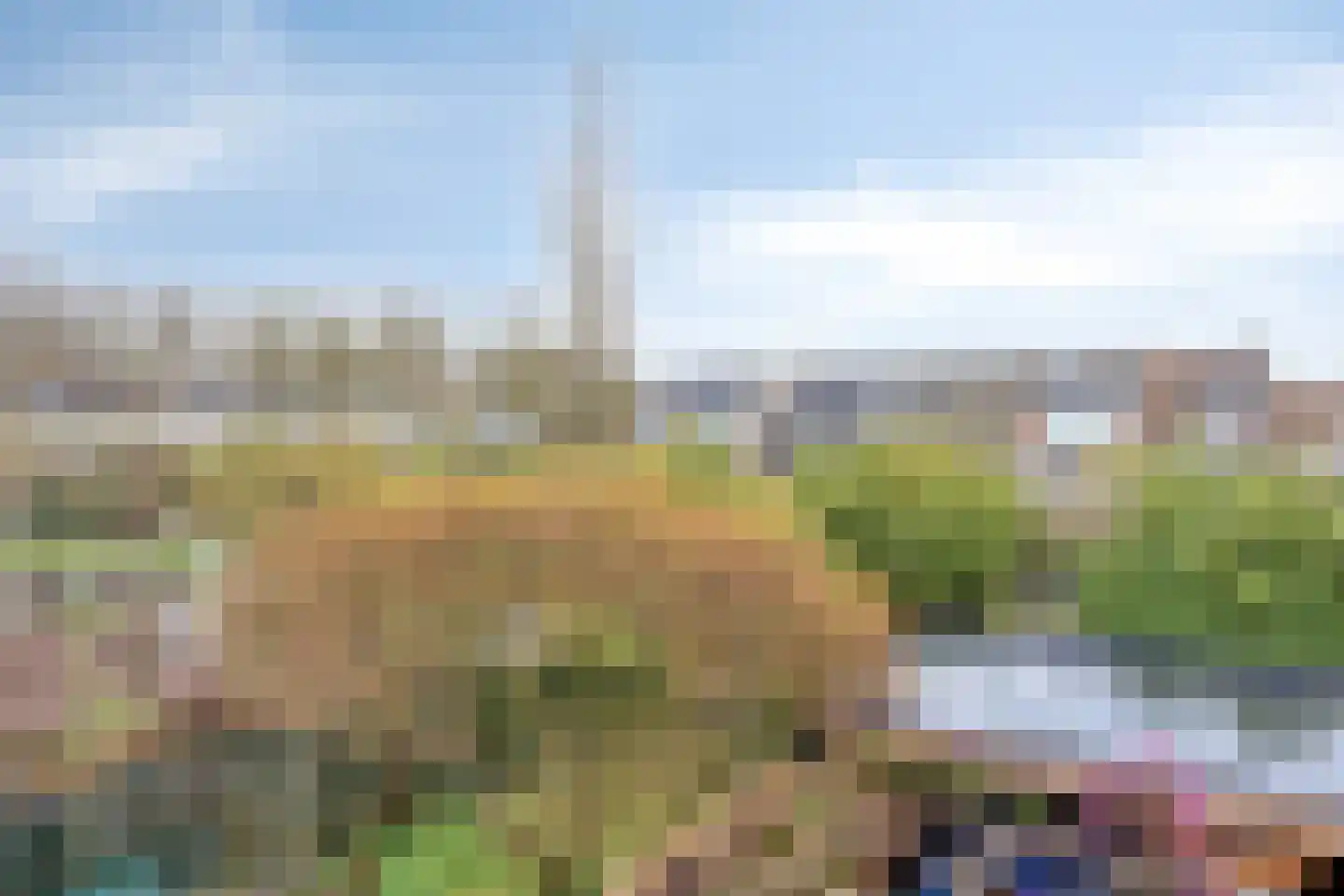 Schijfmos 62 Nieuwerkerk aan den IJssel thumbnail 36