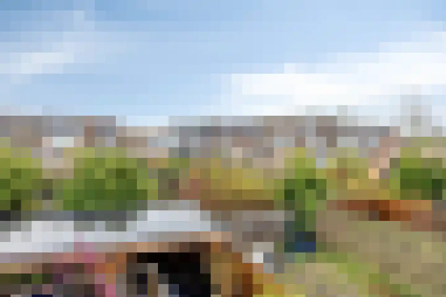 Schijfmos 62 Nieuwerkerk aan den IJssel thumbnail 37